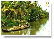 Alleppey